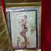 Сексуальная сеточка на все тело 4 