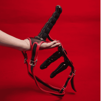 Страпончик с 3 фаллоимитаторами Страпончик с 3 фаллоимитаторами